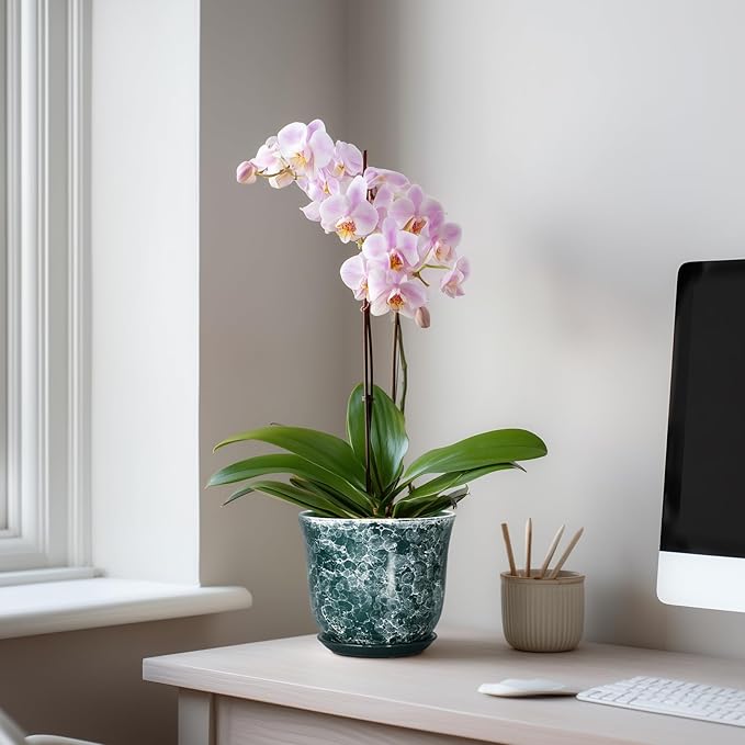 Ceramic Pots for Plants - 5.6 Inch Planter for Indoor Outdoor, Small Flower Pot with Drainage Hole and Saucer, Round Modern Succulent Planters, Home Room Desk Decor, Women Gifts, Green