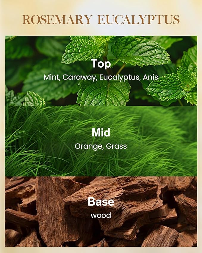 M&SENSE Rosemary Eucalyptus Scented Candle Home Decor, Natural Soy Wax,14.1oz 60 Hours Long Lasting Slow Burning, Aromatherapy Fall Winter Candle for Stress Relief