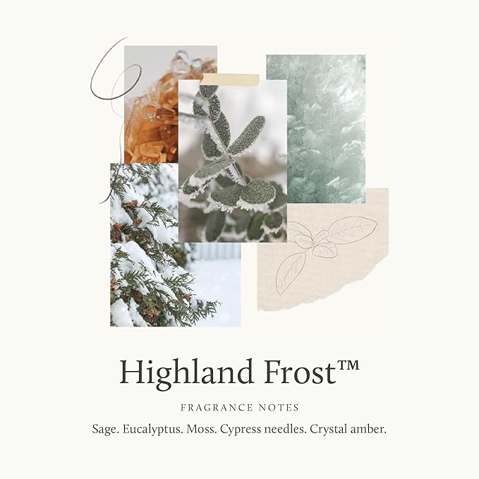 Thymes Home Fragrance Mist – Room Air Fresheners for Home Long Lasting – Air Freshener Spray – Pine Room Spray with with Crisp Notes of Sage, Eucalyptus, & Cypress Needles (Highland Frost, 3 oz)