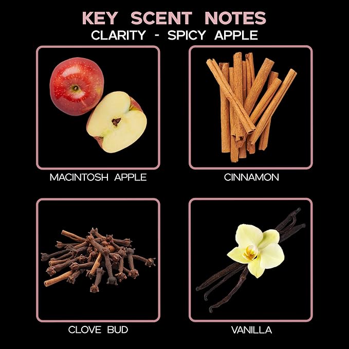 LOVSPA Reed Diffuser Set, Clarity Spicy Apple Cinnamon Scented Oil Diffuser with Sticks, Home Fragrance Accessories for Bathroom Shelf Decor, Aroma Diffusers for Home or Office Fall Decor, USA Made