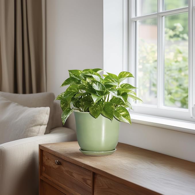 5.6 Inch Plant Pot - Ceramic Pots for Plants Indoor Outdoor, Round Orchid Succulent Pot with Drainage Hole and Saucer, Modern Small Planter, Home Room Window Decor, Plants Lover Gift, Green