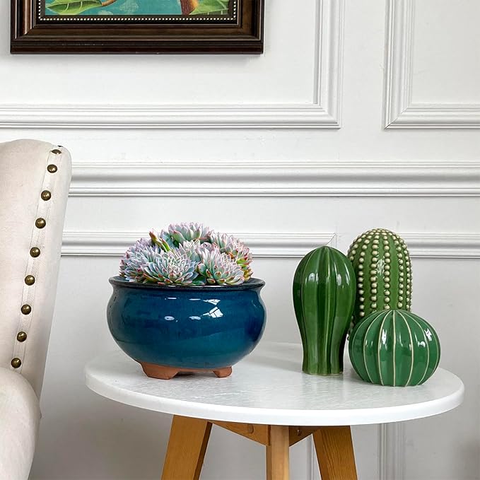 8 Inch Succulent Pot with Drainage and Saucer Glazed Terracotta Round Ceramic Succulent Planter Cactus Bonsai Plant Pot (Dark Green)