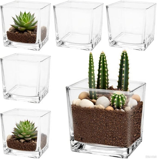 6 Pack 3 x 3 x 3 Inch Square Glass Vases, Clear Square Vases for Centerpiece, Cube Flower Vase for Candle Holder Events Wedding Party Home Decoration