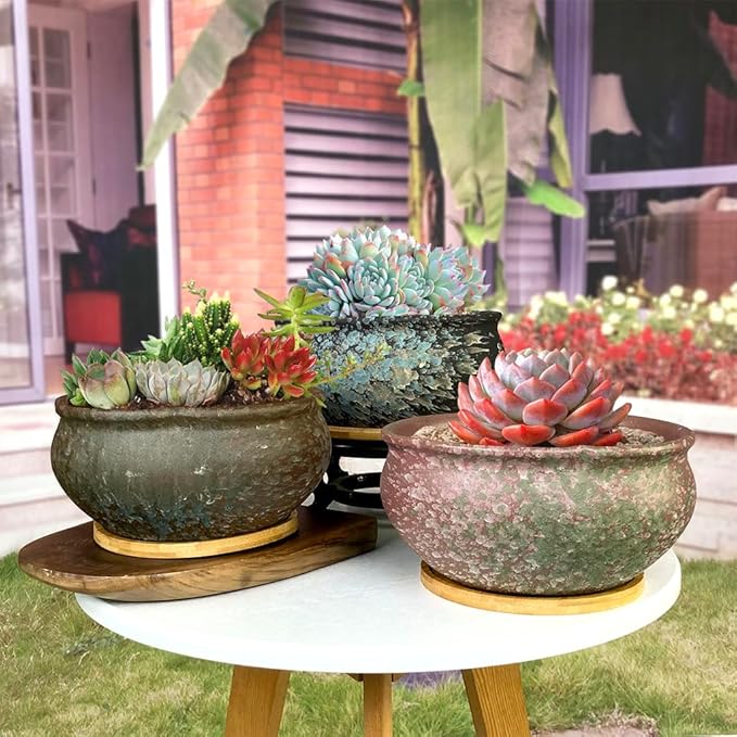 8 Inch Glazed Terracotta Plant Pot Round Ceramic Succulent Planter Pot with Drainage and Saucer Cactus Clay Pot Bonsai Pot (Brown)