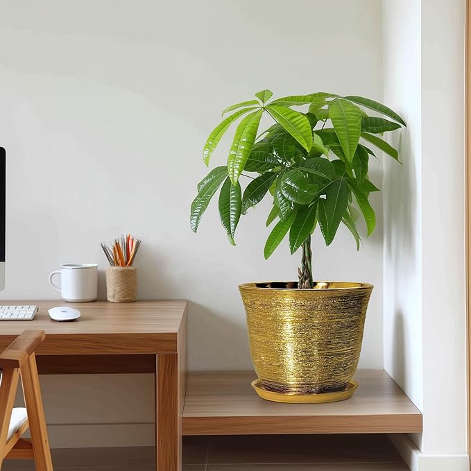 Ceramic Planter - 10 Inch Plant Pot with Drainage Hole and Saucer, Round Flower Pots for Indoor Outdoor, Large Modern Decorative Planter, Garden Room Home Decor, Gifts for Plant Lover, Gold