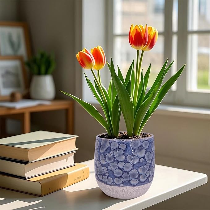 6 in Ceramic Plant Pot with Saucer，Indoor Plant Pot for Plants, Flower Pot with Drainage，Reactive Glaze Blue