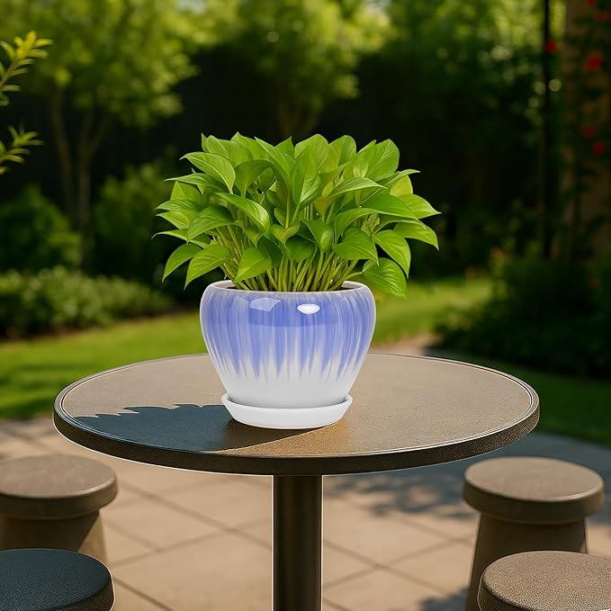 Deep Dream 6 Inch Plant Pots- Ceramic Planter Pot with Drainage Hole and Saucer, Round Flower Pot for Indoor Outdoor Succulent, Snake Plants and Cactus, White&Blue
