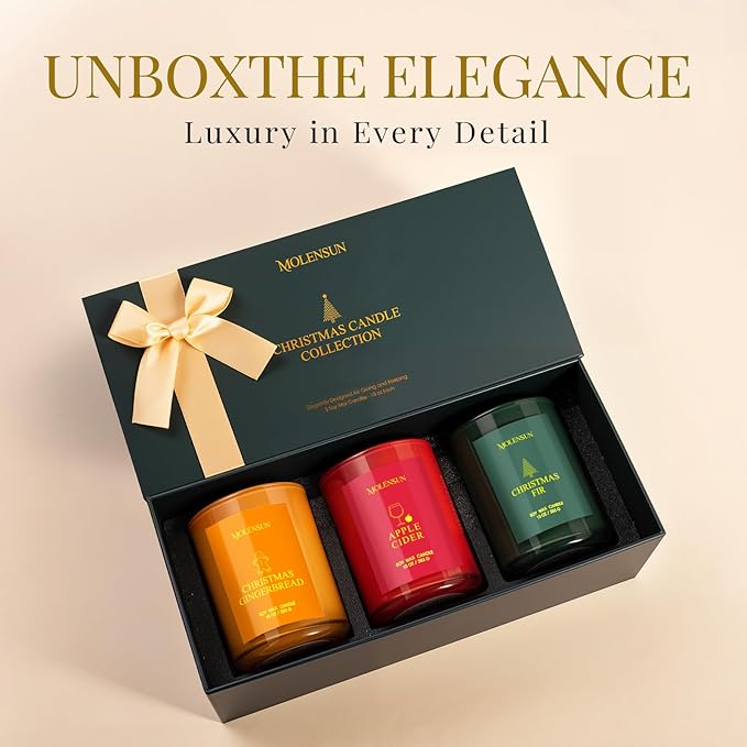 Christmas Candles Gift Set, 3 Pack Total 30oz Soy Scented Candles in Luxury Gift Box, Birthday & Holiday Gifts for Women & Men, Long Lasting Non-Toxic Clean Burn, Elegant Winter Festive Home Decor