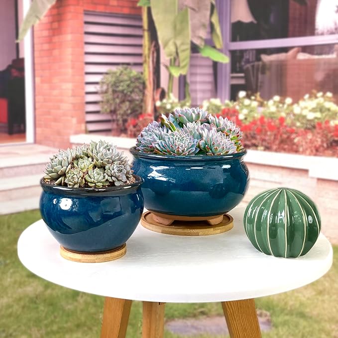 8 and 5.5 Inch Succulent Pot with Drainage and Saucer Glazed Terracotta Round Ceramic Succulent Planter Cactus Bonsai Plant Pot (Dark Green)