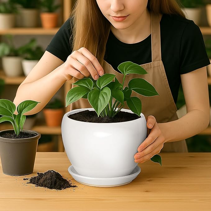 Deep Dream 8 Inch Plant Pot - Ceramic Planter with Drainage Hole and Trays, Modern Round Flower Pot, Planters for Indoor Outdoor Plants, Home Garden Decor, White