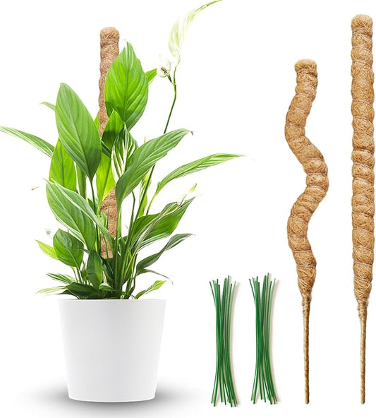 2 Pack Moss Pole,27.6 Inch Moss Poles for Plants Monstera Bendable Plant Stakes for Indoor Coco Coir Pole Climbing Plant Support Stakes for Creeper Plants Grow Upwards