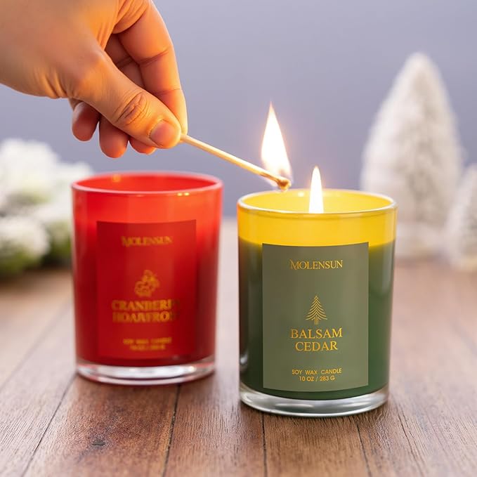 Winter Candles Gift Set, 3 Pack Total 30oz Soy Scented Candles in Luxury Gift Box, Christmas Birthday & Holiday Gifts for Women & Men, Long Lasting Non-Toxic Clean Burn, Winter Festive Home Decor