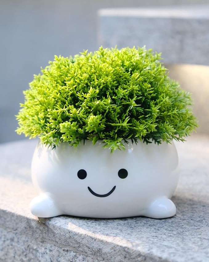 Smily Face Planter Pot Funny Toilet Plant Pots Cute Ceramic Flower Head Planters Succulent Pots for Indoor Outdoor Plants Unique Bathroom Planter with Drainage Hole