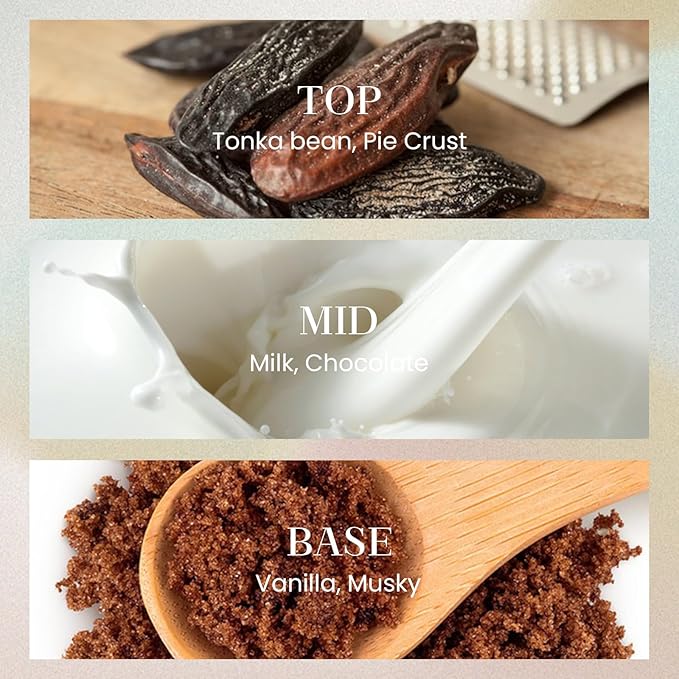 M&SENSE 10.14 oz Large Reed Diffuser Set | Creamy Vanilla Scent Oil Diffuser with Sticks | Hotel Collection Non-Toxic Essential Oil |for Bedroom Bathroom Living Room