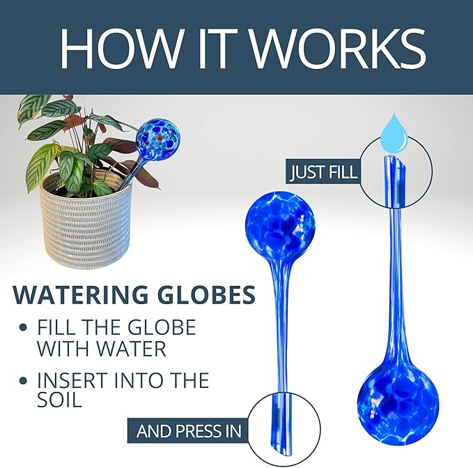 2 Large 3 Small Glass Plant Watering Globes - Plant Watering Devices - Plant Watering Bulbs - Self Watering Spikes - Self Watering Planter Insert - Free Moisture Meter Cotswold Homeware