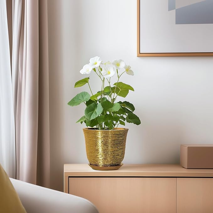 5.6 Inch Plant Pot - Ceramic Planter for Indoor Outdoor, Round Succulent Orchid Pot with Drainage Hole and Plant Saucer, Modern Decorative Planters, Living Room Decor, Gifts for Women, Gold