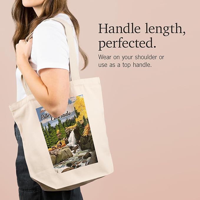 Lantern Press Estes Park, Colorado, Waterfall (100% Cotton Canvas Reusable Tote Bag)