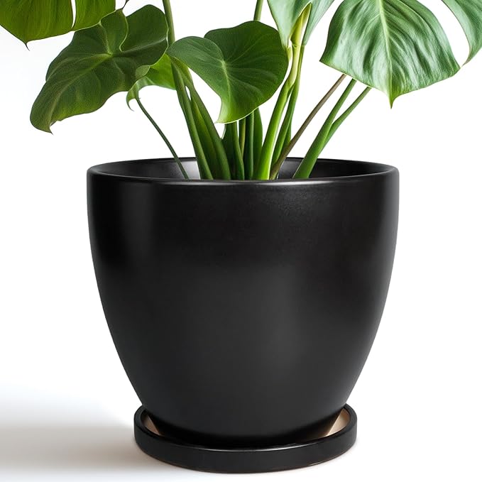 8 Inch Plant Pot - Ceraimc Planter for Indoor Outdoor Plants, Round Flower Pots with Drainage and Tray, House Decor, Black
