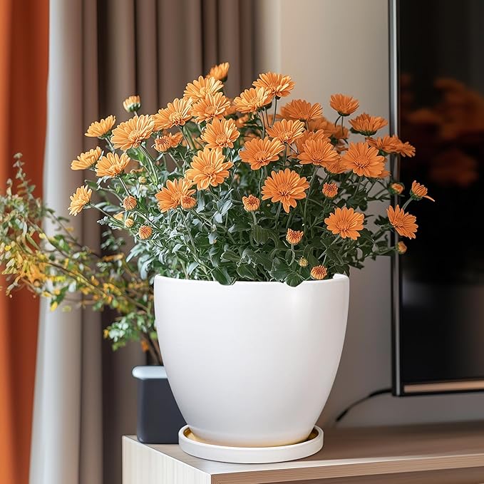 8 Inch Plant Pot - Ceraimc Planter for Indoor Outdoor Plants, Round Flower Pots with Drainage and Tray, House Decor, White