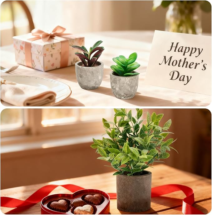 Artificial Potted Plants Faux Greenery in Cement Pots for Shelf, Bookshelf, Office or Home Decor, Small Decorative Fake Plants for Modern Indoor Display (9, XXXL)