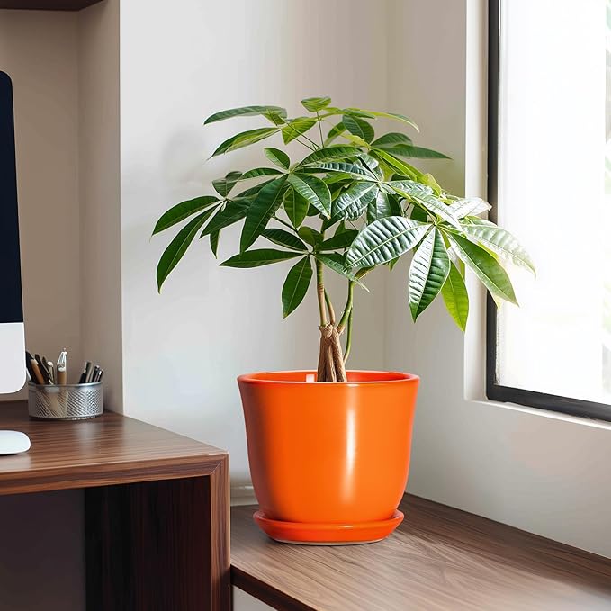 Ceramic Planter - 8 Inch Plant Pot with Drainage Hole and Saucer, Modern Planters for Indoor Outdoor Plants, Round Flower Pot, Home Patio Office Decor, House Warming Gifts, Orange