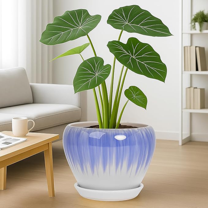 Deep Dream 10 Inch Plant Pot- Ceramic Planter Pot Round Plant Pots for Indoor Plants Outdoor Large Flower Pot with Drainage Holes & Trays, White&Blue