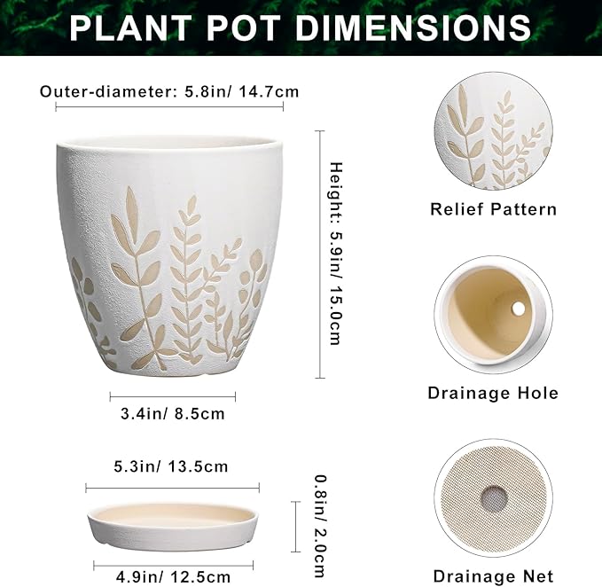 6 Inch Plant Pot with Drainage and Saucer - Small Decorative Flower Pot for Succulents Herbs Plants, Indoor Succulent Planter, Desk Office Room Home Decor, Gifts for Plant Lovers, White