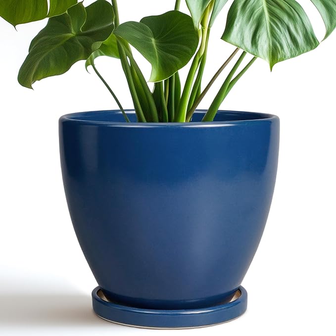 Ceramic Plant Pot - 8 Inch Planter for Indoor Outdoor Plants, Round Flower Pots with Drainage and Tray, Home Office Decor, Blue