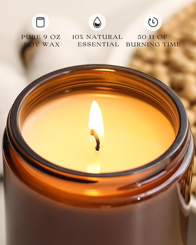 AOOVOO Apple Cinnamon Candles - 9 oz Scented Candles, Aromatherapy Candle, Soy Candle for Home Scented