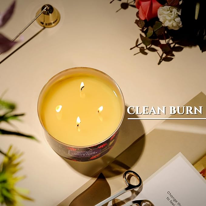 HomeLights Scented Candles for Women & Men, 18oz Candle Jars Aromatherapy 4-Wick Candle, Ideal for Eclectic Mixed Styles Home Decor and Gifts, Champagne Cassis & Honey