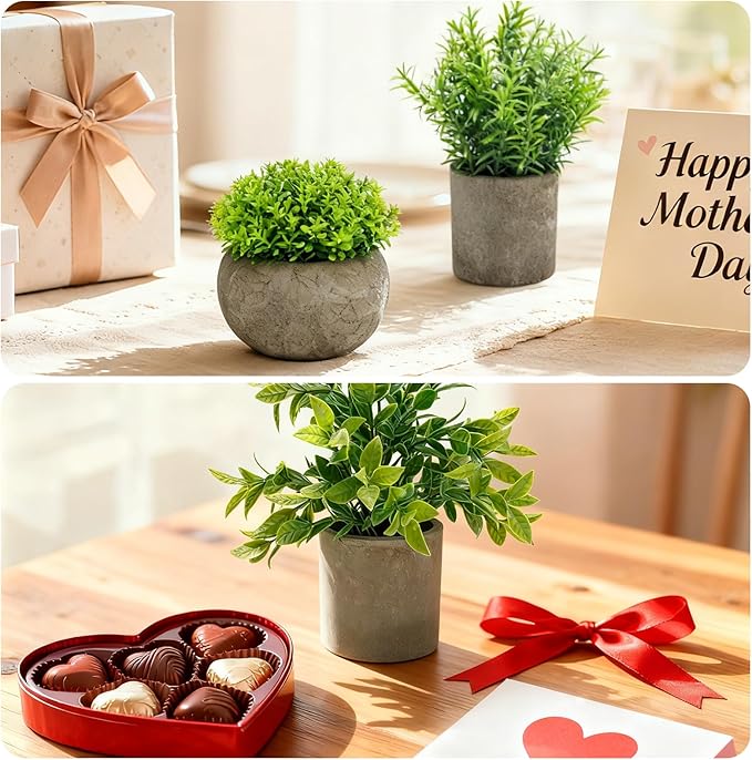 Artificial Potted Plants Faux Greenery in Cement Pots for Shelf, Bookshelf, Office or Home Decor, Small Decorative Fake Plants for Modern Indoor Display