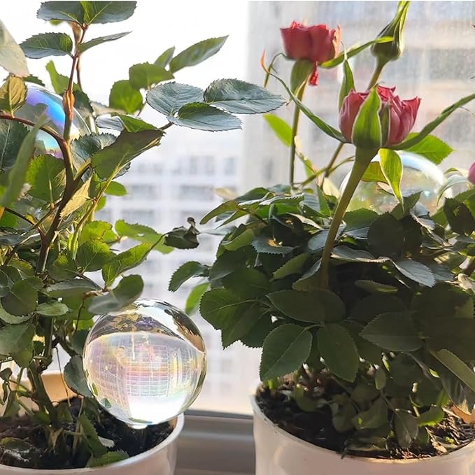 4PCS Extra Large Plant Watering Globes 13 oz Up to 2 Weeks, Light Iridescent Glass Self Water Bulbs for Indoor Outdoor Plants, Vacation Automatic Planter Waterer System Self-Watering Stakes