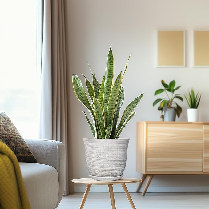 Ceramic Plant Pots - 8 Inch Plant Pot with Drainage Hole and Saucer, Round Flower Pots for Indoor Outdoor, Modern Planter, Decorative Planters, Home Apartment Decor, Gardening Gifts, Grey