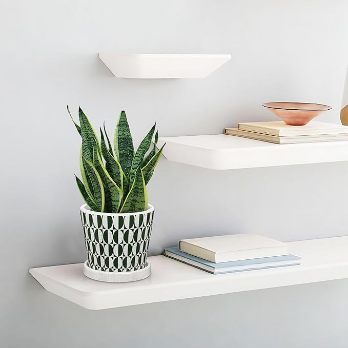 5.5 Inch Ceramic Plant Pot, Ice Crack Plant Pots with Drainage Hole and Saucer, Vintage Flowers Pot for Plants Indoor Outdoor Home Patio Office Decor (Green)