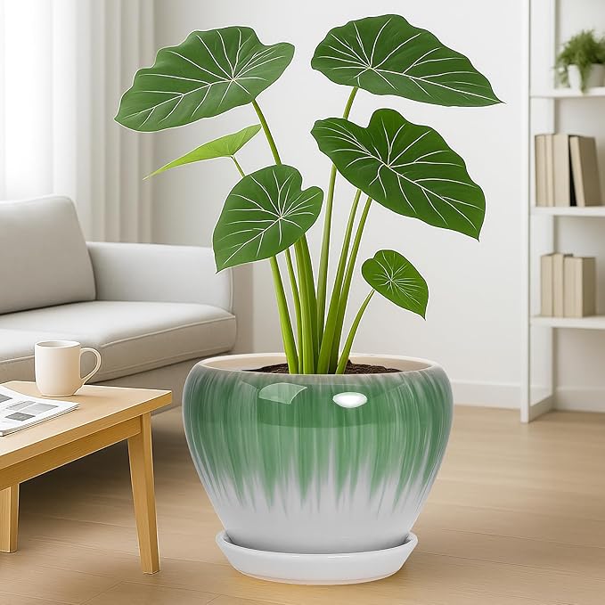 Deep Dream 10 Inch Plant Pot- Ceramic Planter Pot Round Plant Pots for Indoor Plants Outdoor Large Flower Pot with Drainage Holes & Trays, White&Green