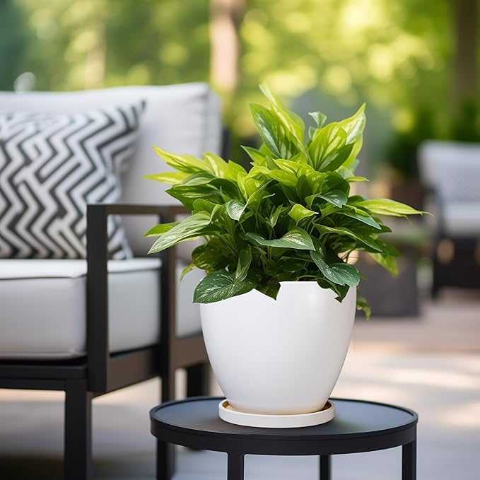 8 Inch Plant Pot - Ceraimc Planter for Indoor Outdoor Plants, Round Flower Pots with Drainage and Tray, House Decor, White