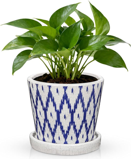 Plant Pots 5.5 Inch, Ceramic Planter with Drainage Hole and Saucer for Indoor Plants, Ice Crack Diamond Pattern Vintage Garden Pots for Succulent Orchid Snake Plants Flower (Blue)