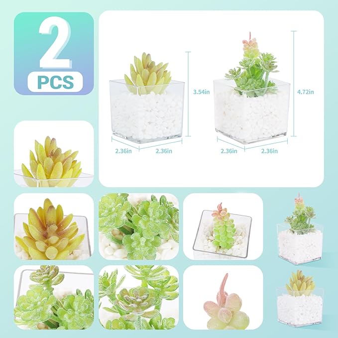 2-Pack Mini Transparent Acrylic Artificial Succulent Potted Small Fake Plants for Living Room Bathroom Decor Office Book Shelf Window Sill Decoration Accessories