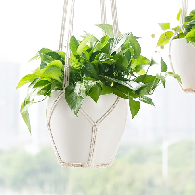 Dahey Macrame Plant Hanger Indoor Outdoor Hanging Planter Basket Large for up to 12" Pot Handmade Woven Cotton Rope Flower Pots Holder for Boho Home Decor, 43 Inch, Set of 2, Ivory