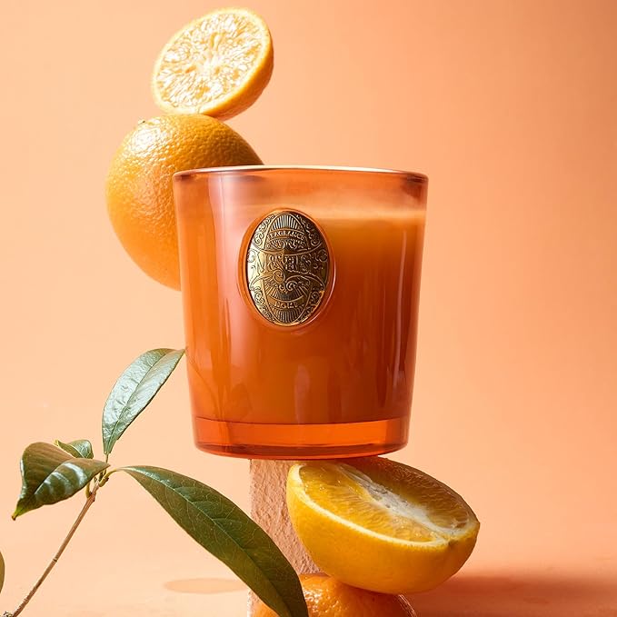 M&SENSE Natural Fresh Soy Candle | Orange Goji & Neon Orange | 9.2 oz, 50H Burn Time | Luxury Scented Candle for Relaxation, Gifting, Home Décor | Ideal for Bedroom, Office, Party Ambiance