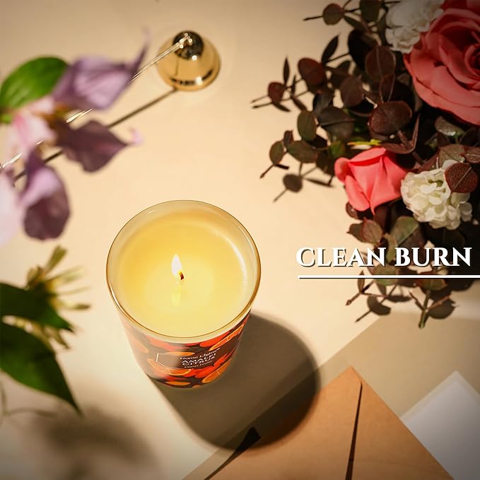 HomeLights 1-Wick Candles for Home Scented - 6.7oz Soy Wax Blend Candle Long-Lasting Fragrance, Eclectic Mixed Styles Home Decor and Housewarming Gifts, Amalfi Citrus