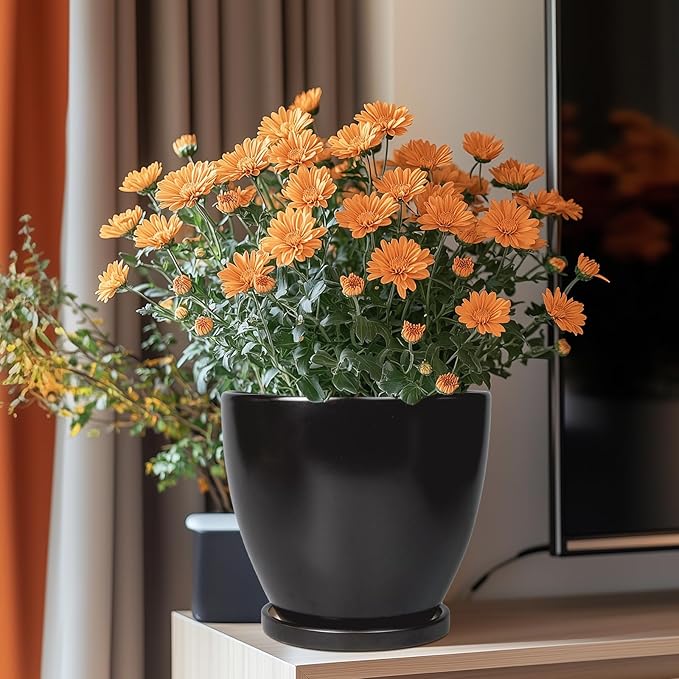 8 Inch Plant Pot - Ceraimc Planter for Indoor Outdoor Plants, Round Flower Pots with Drainage and Tray, House Decor, Black