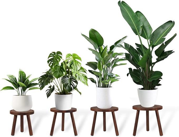 4-Pack Wood Plant Stands Indoor Outdoor, Heavy Duty 6-12 Inch Flower Pot Holder Stand, Natural Camphor Pine Wood Modern Large Plant Stool for Multiple Potted Plants, Home Office Garden & Bar Decor