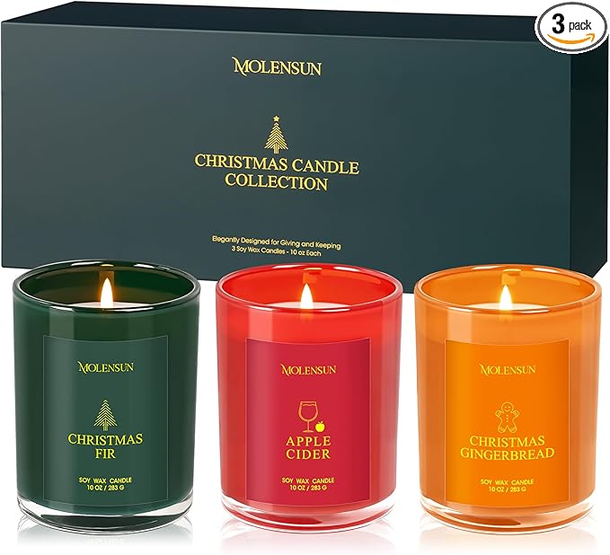 Christmas Candles Gift Set, 3 Pack Total 30oz Soy Scented Candles in Luxury Gift Box, Birthday & Holiday Gifts for Women & Men, Long Lasting Non-Toxic Clean Burn, Elegant Winter Festive Home Decor