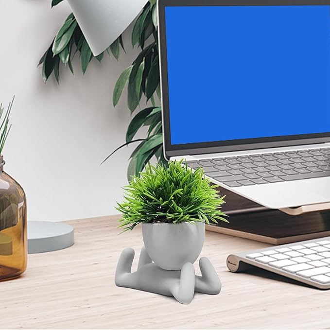 Zerzsy Faux Succulents in Cement Pots Potted Mini Fake Plants for Desk Decoration,Kitchen Shelf Decor, Office Decor for Women, Bathroom Shelf PlantDecor -Set of 1