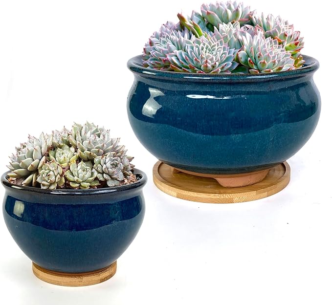8 and 5.5 Inch Succulent Pot with Drainage and Saucer Glazed Terracotta Round Ceramic Succulent Planter Cactus Bonsai Plant Pot (Dark Green)