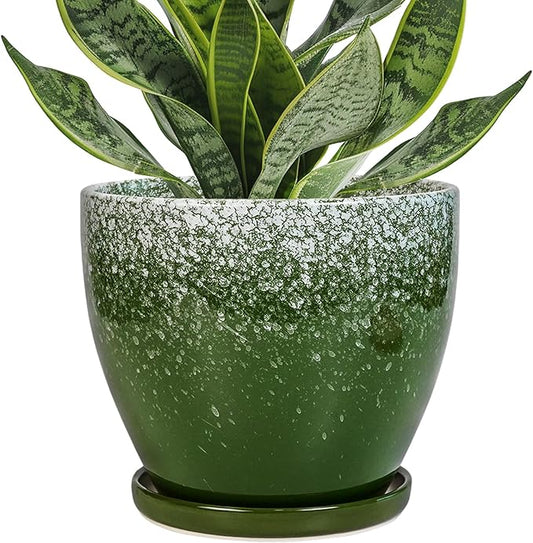 Ceraimc Plant Pot - 6.3 Inch Planter with Drainage and Plant Tray, Round Succulent Planters, Decorative Flower Pot for Indoor, Room Office Patio House Decor, Gifts for Women Men, Green