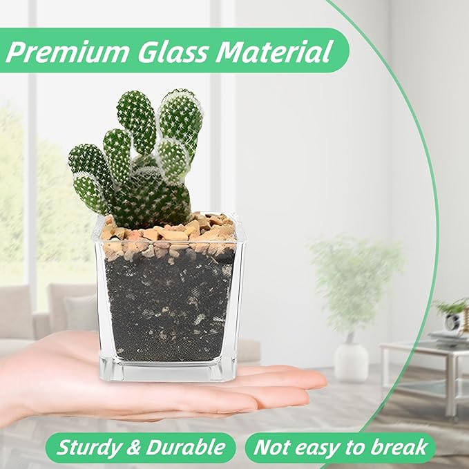 6 Pack 3 x 3 x 3 Inch Square Glass Vases, Clear Square Vases for Centerpiece, Cube Flower Vase for Candle Holder Events Wedding Party Home Decoration