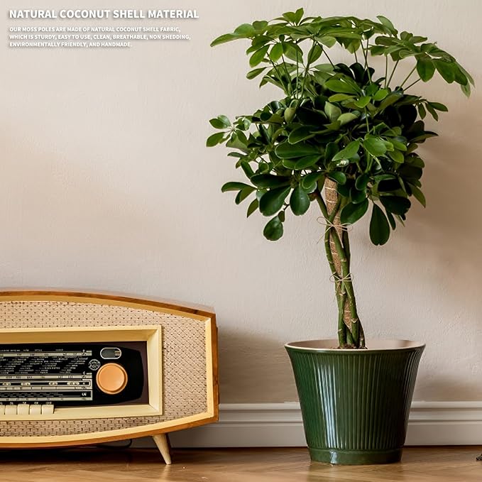 3 Pack Moss Pole Monstera Plant Support, 28 Inch Bendable Moss Poles for Climbing Plants with 20 FT Jute Ropes, Coco Coir Moss Pole Kit Support for Indoor Potted Plants, Pothos, Philodendron