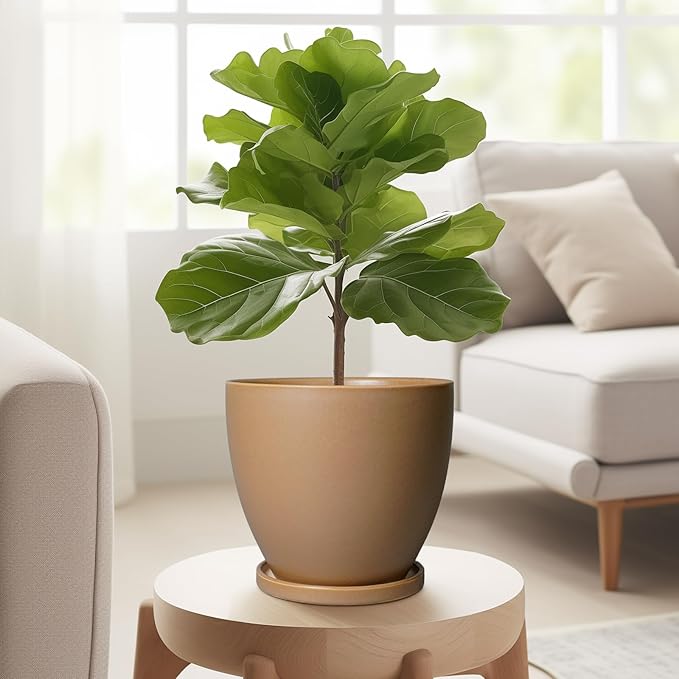 6.8 Inch Planter - Ceraimc Pots for Indoor Outdoor Plants Round Planters Modern Flower Pot with Drainage and Tray Home Garden Decor Brown